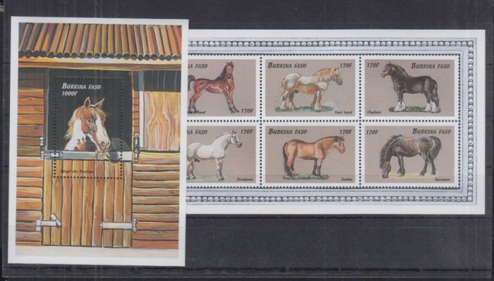 BURKINA FASO 1999 CAI