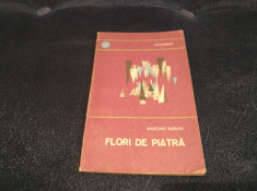 MARCIAN BLEAHU - FLORI DE PIATRA foto