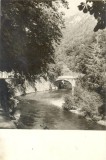 CP Z636 -BAILE HERCULANE -VALEA CERNEI -CIRCULATA 24.8.1959- REINHORN