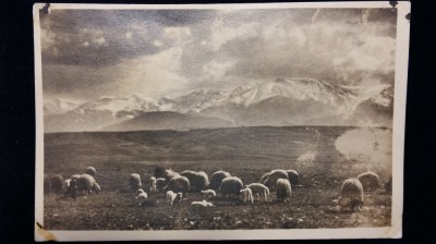 AVRIG - MUNTII FAGARAS VAZUTI DIN ZONA AVRIG - PERIOADA INTERBELICA foto