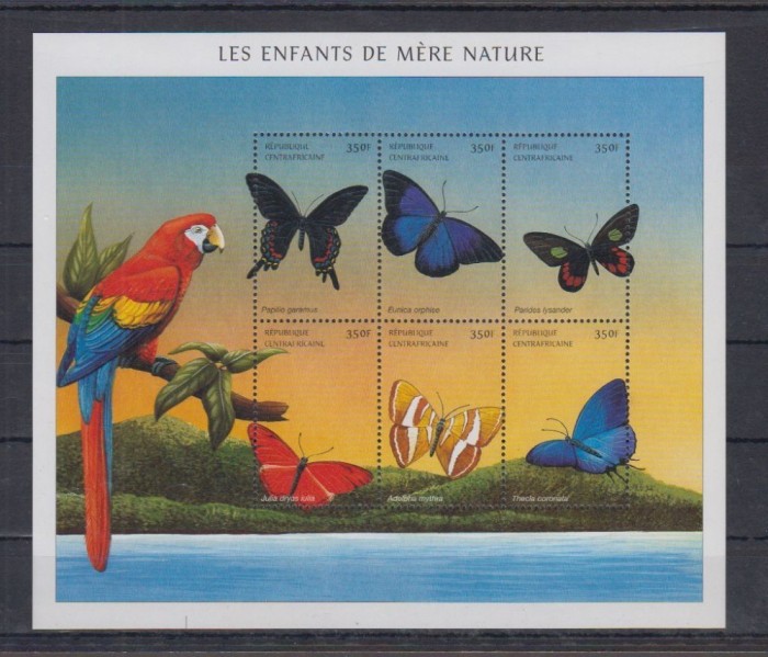 CENTRALAFRICA 2001 FLUTURI