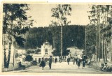 CP Z632 -VATRA DORNEI-IN PARC -CIRCULATA 26 AUG 1954 FARMACISTI- REINHORN