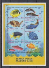 MALDIVES 2000 FAUNA MARINA PESTI foto