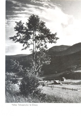 CP Z657 - VALEA TELEAJENULUI LA CHEIA -DATATA 1958 -RPR-NECIRCULATA foto
