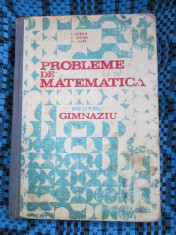 I. PETRICA - PROBLEME DE MATEMATICA PENTRU GIMNAZIU (1985) foto