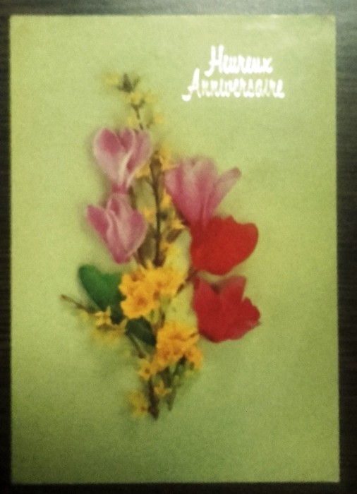 ANIVERSARI. FLORI. ILUSTRATA CIRCULATA (SP101)