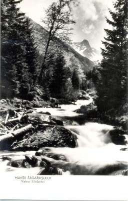 CP Z680 -MUNTII FAGARASULUI -VALEA SAMBETEI -DATATA 1954 -RPR -NECIRCULATA foto