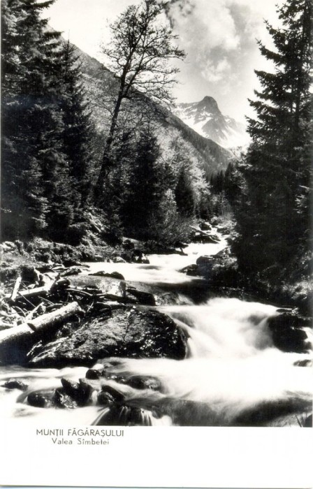 CP Z680 -MUNTII FAGARASULUI -VALEA SAMBETEI -DATATA 1954 -RPR -NECIRCULATA