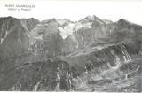 CP Z675 -MUNTII FAGARASULUI -LAITELUL SI NEGOIUL-DATATA 1954 -RPR-NECIRCULATA