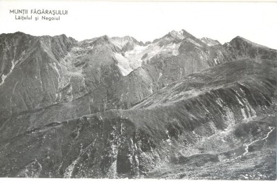 CP Z675 -MUNTII FAGARASULUI -LAITELUL SI NEGOIUL-DATATA 1954 -RPR-NECIRCULATA foto