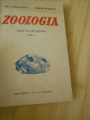 GH. I. NICULESCU--ZOOLOGIA PENTRU CLASA VI-A SECUNDARA foto