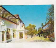 bnk cp Bazna - Vedere - circulata