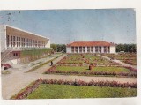 bnk cp Baia Amara - Vedere - circulata