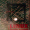 Linux Pentru Avansati - Cornelia Palivan Horatiu Palivan ,540100