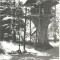 CP Z817 -RIMNICU-VALCEA -VEDERE DIN PARCUL ,,V.I. LENIN&quot;-RPR - CIRCULATA 1961