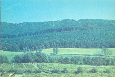CP Z828 -VIILE SINT BOGATIA MOLDOVEI - NECIRCULATA foto