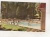 Bnk cp Baile Moneasa - Strandul - circulata, Printata, Arad