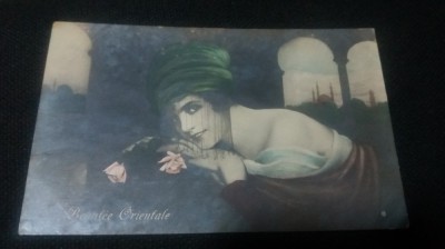 Beantee Orientale. foto