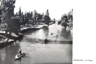 CP Z815 - TIMISOARA -PE BEGA - CIRCULATA 1962 -ANTRENAMENT CAIAC-CANOE foto