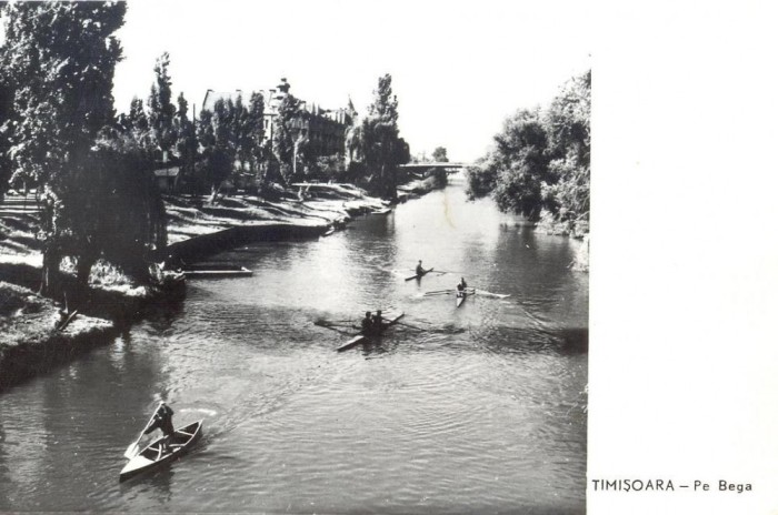 CP Z815 - TIMISOARA -PE BEGA - CIRCULATA 1962 -ANTRENAMENT CAIAC-CANOE
