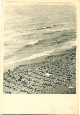 CP Z913 -EFORIE -COLONIE DE COPII LA MARE - RPR -NECIRCULATA foto