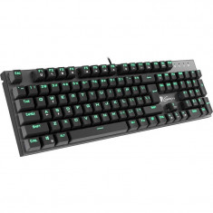 Tastatura gaming Genesis Thor 300 Green foto