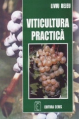 Viticultura practica foto