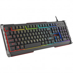 Tastatura gaming Genesis Rhod 400 RGB foto