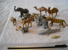 RETINUT - set 14 figurine cauciuc dens - lei, elefanti, tigru, camile, rinocer foto