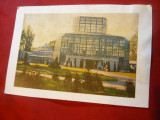 Ilustrata - Bucuresti - Gradina Botanica- Expozitie - Complex Sere