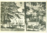 CP Z951 -BRAILA - VEDERE - RPR -NECIRCULATA