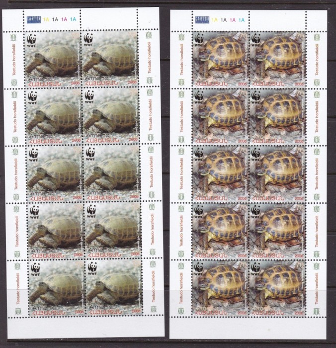 Armenia 2007 fauna testoase MI 561-564 blocuri de 10 serii MNH w47
