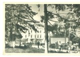 CP Z961 -BRAILA - VEDERE - RPR -NECIRCULATA