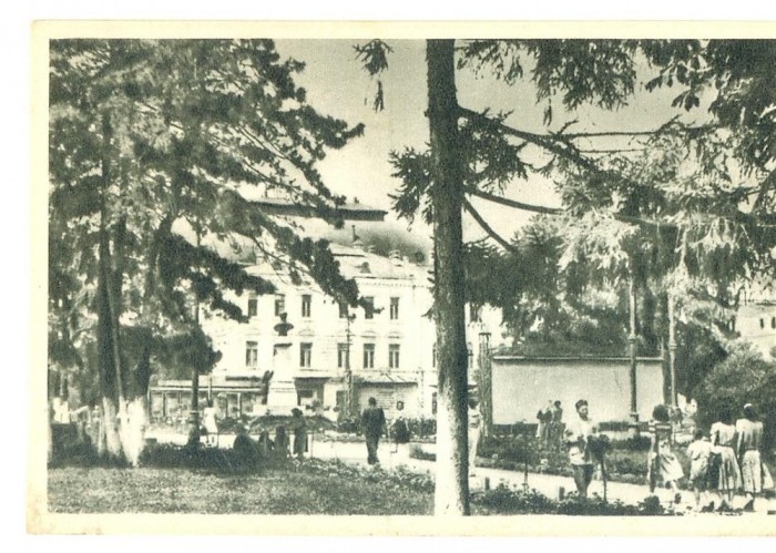 CP Z961 -BRAILA - VEDERE - RPR -NECIRCULATA