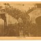 CP Z1010 -PRESSANO 1916 -PREGATIRI DE RAZBOI? -NECIRCULATA