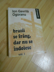 ION GAVRILA OGORANU--BRAZII SE FRANG, DAR NU SE INDOIESC - 2 VOLUME foto