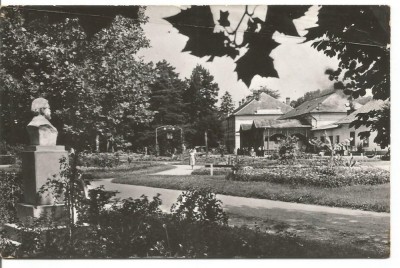 (A) carte postala(ilustrata)-ORADEA-Baile Victoria foto
