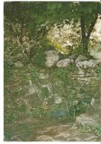 (A) carte postala(ilustrata)-IASI-Gradina botanca -stancarie cu izvor