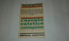 MARCEL PETRISOR - CURENTE ESTETICE CONTEMPORANE foto