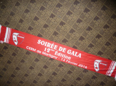 Fular din matase al Suporterilor Echipei de Fotbal FC Sion- Elvetia 2016 foto