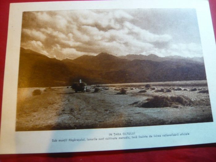 Fotografie dubla -Folclor Romania-In Dragus- Fagaras / In Tara Olt ,interbelica