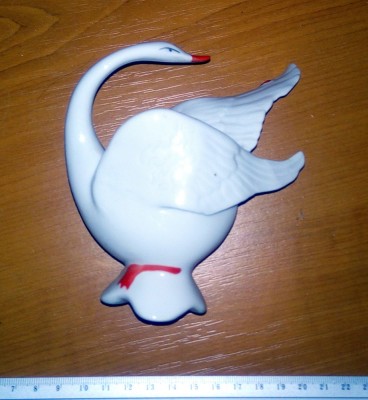 LOT 2 BIBELOURI = PASARI foto