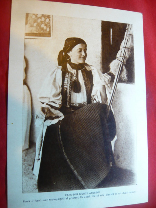 Fotografie dubla -Folclor Romania-Fata din Mtii Apuseni torcand ,interbelica