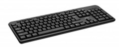 TASTATURA SPACER QWERTY 104 keys + 11 hotkeys, multimedia, anti-spill, USB (SPKB-169) foto