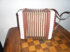 acordeon mic foto