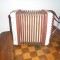acordeon mic