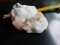 MINERAL - FLOARE DE MINA - ESANTION DE HEULANDIT PE BAZA DE MORDENIT- DIN INDIA