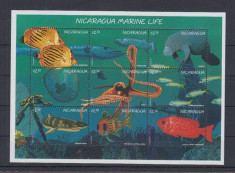 NICARAGUA 1996 FAUNA MARINA foto