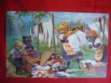 Ilustrata comica - Familie de Pisici - intind rufele -Romania