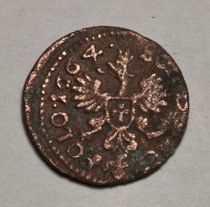 solidus 1664 Johan Casimir, Polonia foto